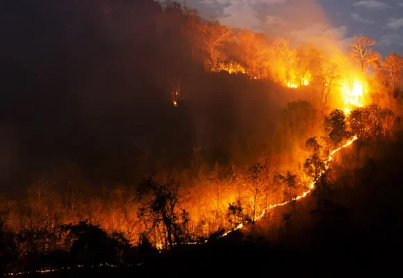 Bolivia reporta 11.747 familias damnificadas por los incendios forestales