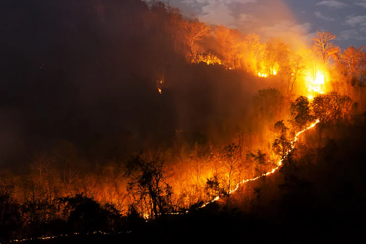 Bolivia reporta 11.747 familias damnificadas por los incendios forestales